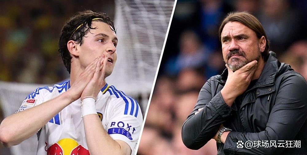 费耶诺德足球俱乐部官网